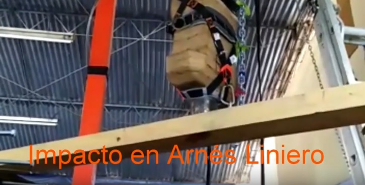 Arnés Linsen-KP